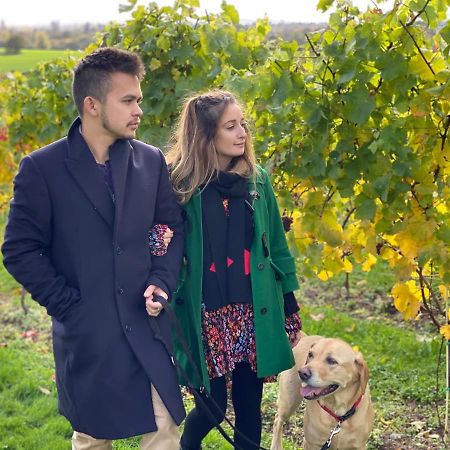 Hencote Vineyard Glamping Village ชรูว์สเบอรี ภายนอก รูปภาพ