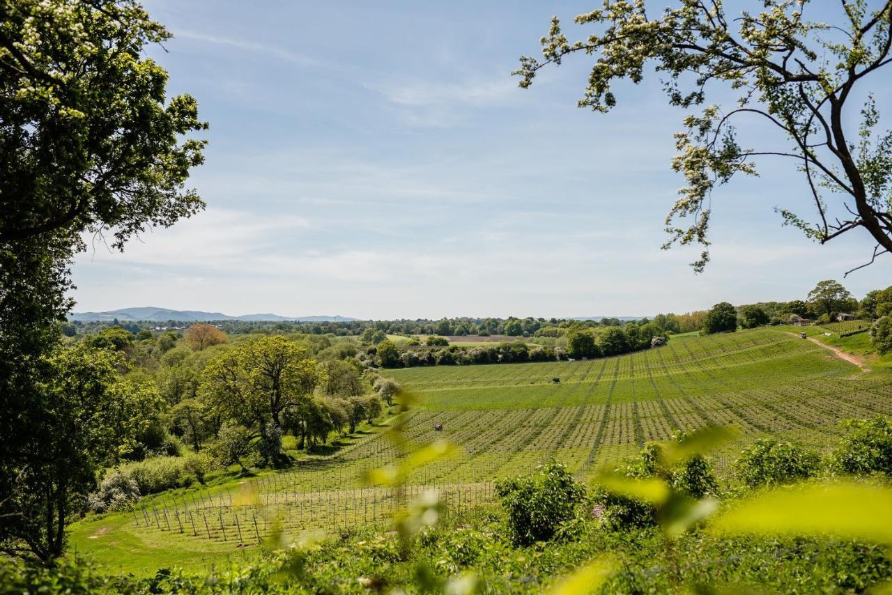 Hencote Vineyard Glamping Village ชรูว์สเบอรี ภายนอก รูปภาพ