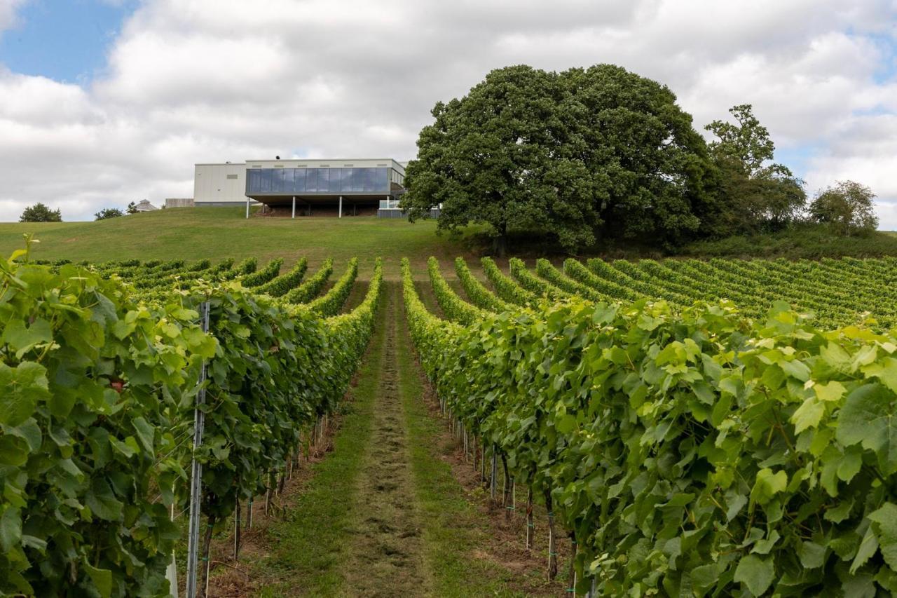 Hencote Vineyard Glamping Village ชรูว์สเบอรี ภายนอก รูปภาพ